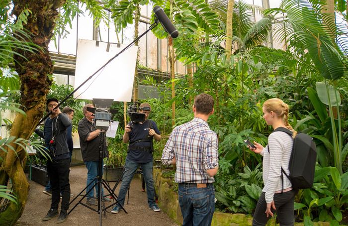 Produktionsagentur FINGADO Mannheim